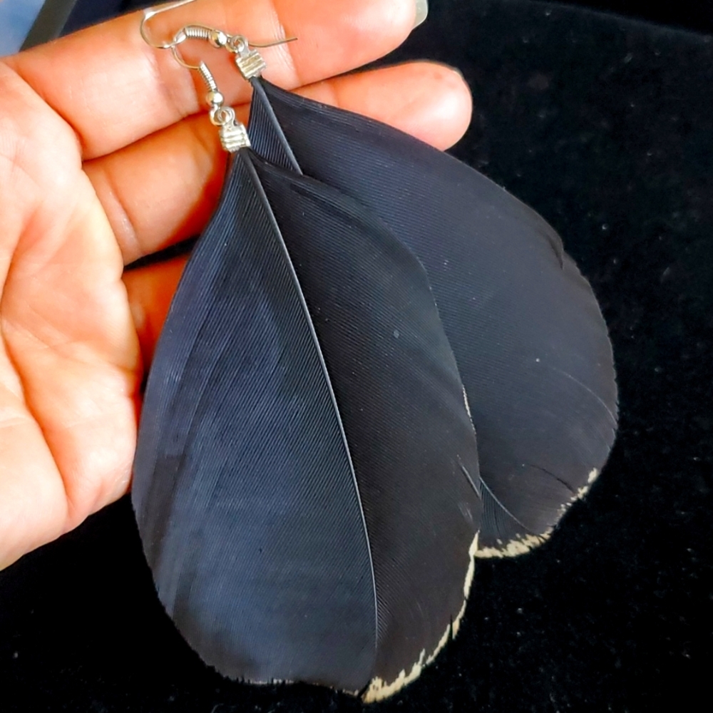 Black Feather 🪶 Earrings